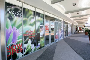 outdoor-windows-graphics-magazin-flori (1)